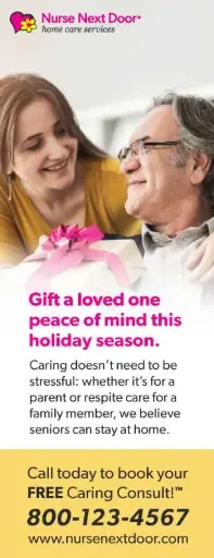 [NND-AD-VERTHLF-VERSION7] Holidays and Services Vertical Half Page